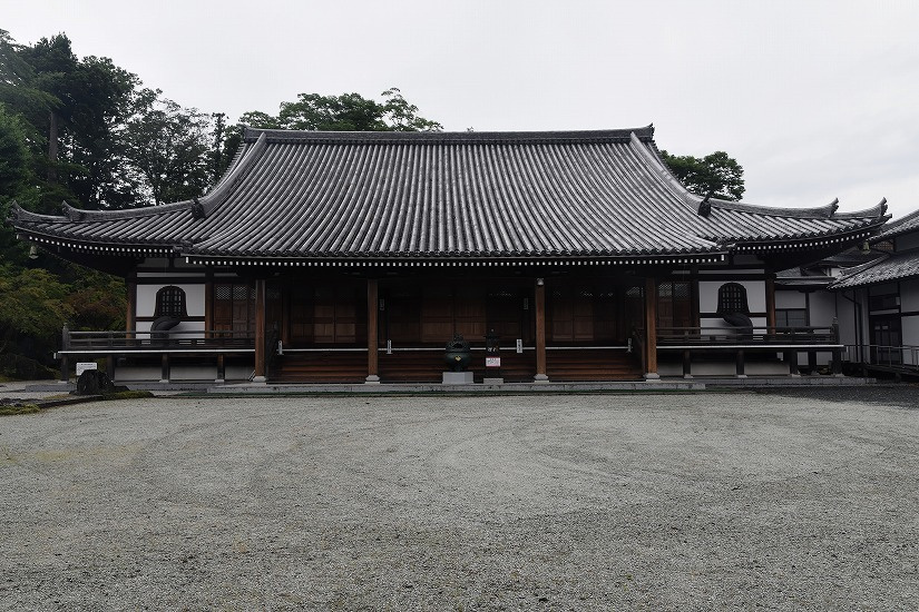 dsc_0677_dxo.jpg