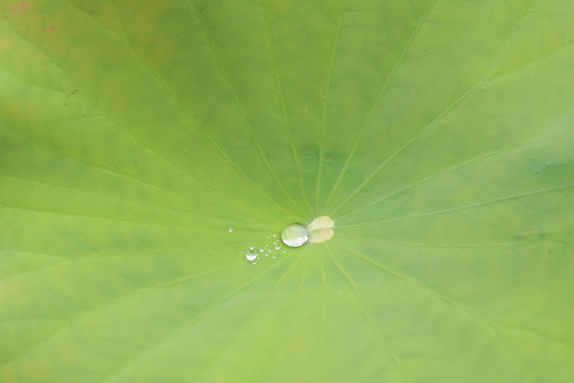 dsc_0673_dxo.jpg