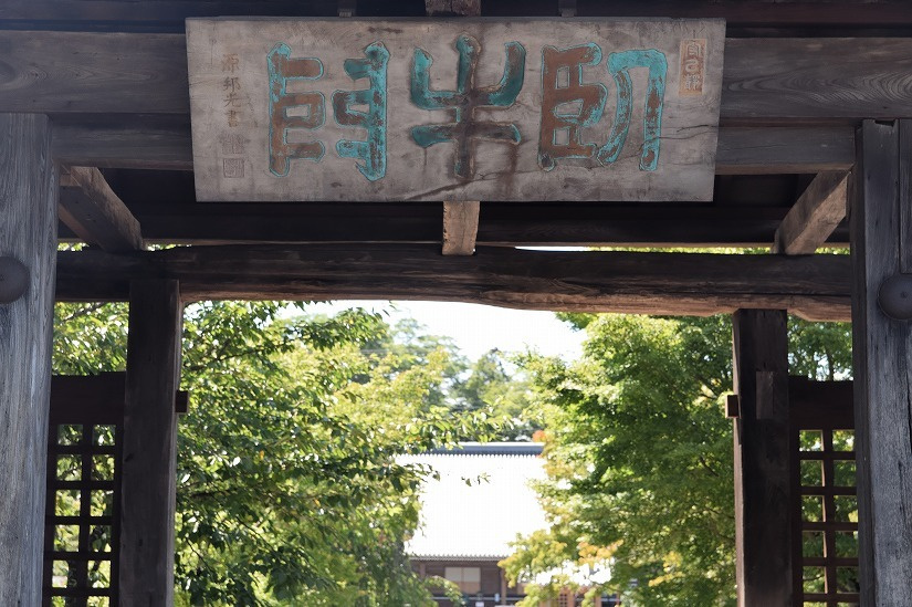 dsc_0673_dxo.jpg