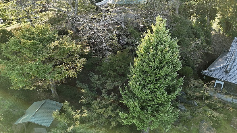 dji_20251015143300_0112_d_dxo.jpg