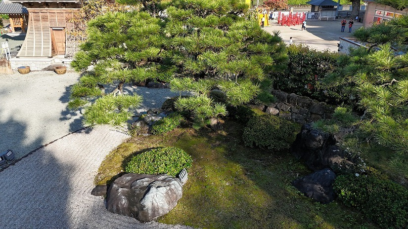 dji_20251015143341_0114_d_dxo.jpg